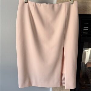 Elegant baby Pink Women's Skirt from WHBM
